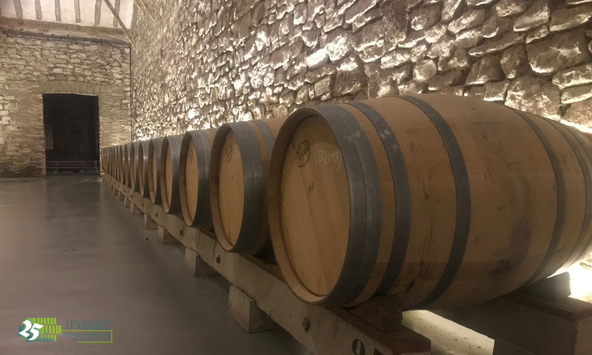 Plagas en la Industria vinícola
