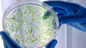En 2024 inicia la nueva normativa para prevención de Legionella
